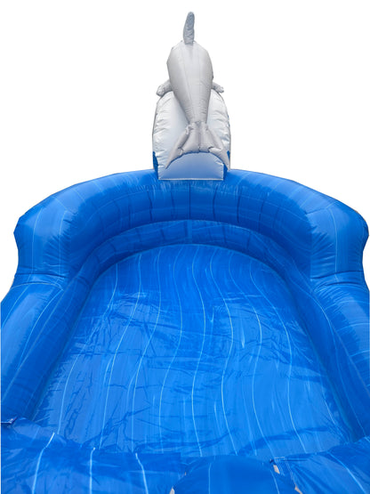14ft Dolphin Splash Waterslide
